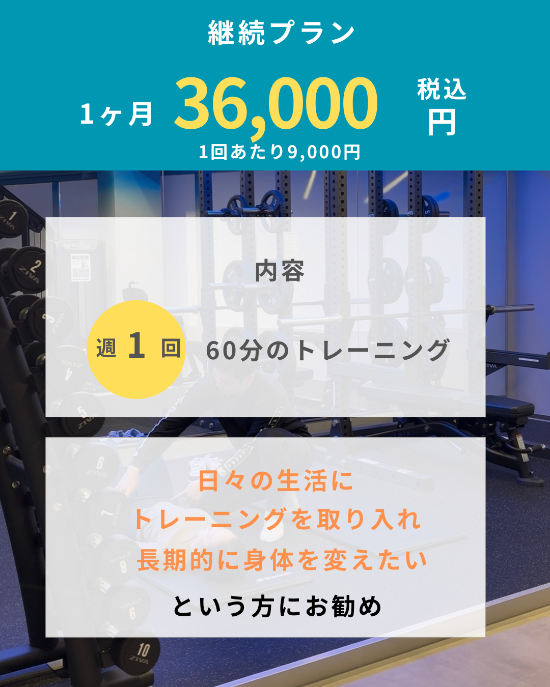 スタンダードプランの画像
